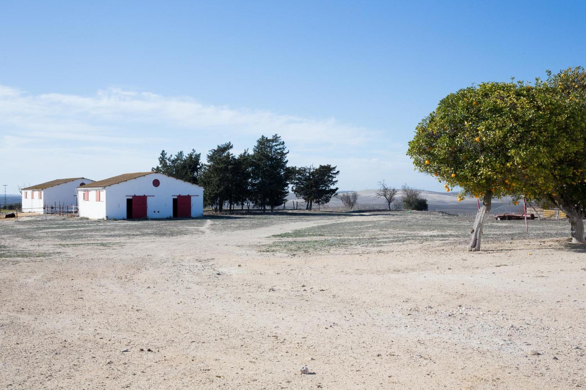 Willa Cortijo Rural La Mariscala Jerez de la Frontera Zewnętrze zdjęcie